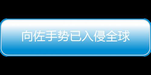 向佐手势已入侵全球