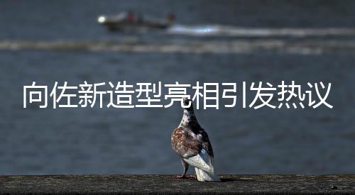 向佐新造型亮相引发热议，网友戏称佐姐潮流新风尚