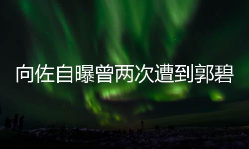 向佐自曝曾两次遭到郭碧婷的坚决拒绝