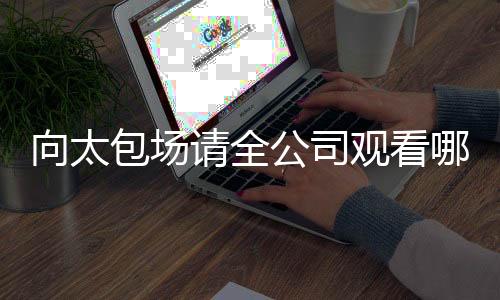 向太包场请全公司观看哪吒2，一场文化与商业的完美结合