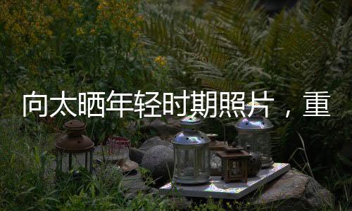 向太晒年轻时期照片，重温黄金岁月的美好回忆