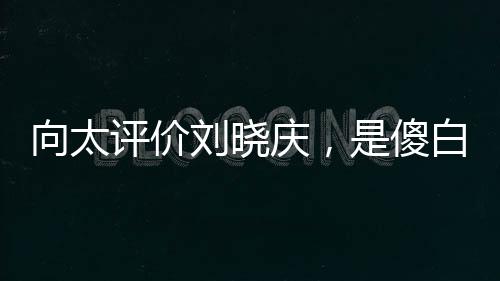 向太评价刘晓庆，是傻白甜还是真实坦然？