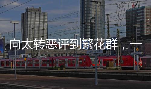 向太转恶评到繁花群，一场互联网时代的口碑逆袭之战