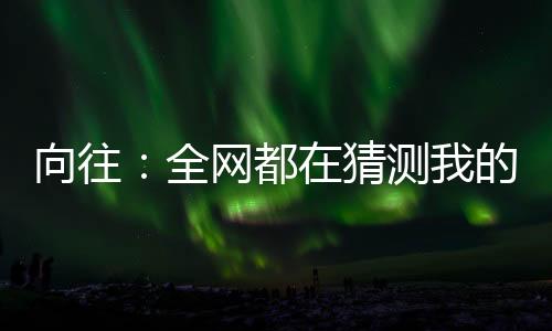 向往：全网都在猜测我的身份