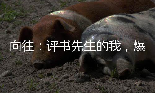 向往：评书先生的我，爆火全网！
