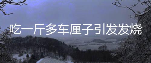 吃一斤多车厘子引发发烧事件，健康饮食的重要性与合理食用水果的警示