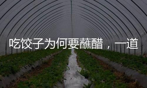 吃饺子为何要蘸醋，一道中华美食文化的独特韵味