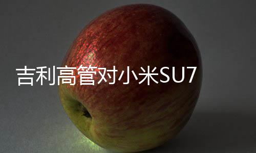 吉利高管对小米SU7 Ultra超速表现进行点评