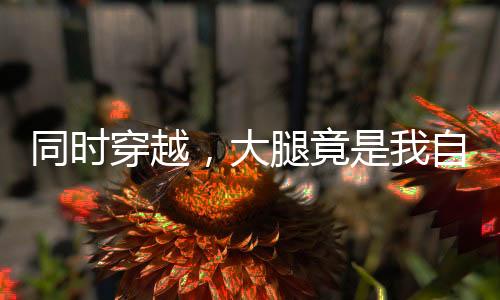 同时穿越，大腿竟是我自己