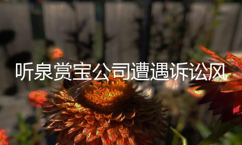 听泉赏宝公司遭遇诉讼风波
