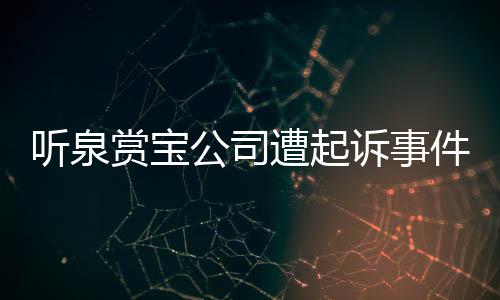听泉赏宝公司遭起诉事件全面解析