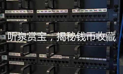听泉赏宝，揭秘钱币收藏中的奥秘与挑战