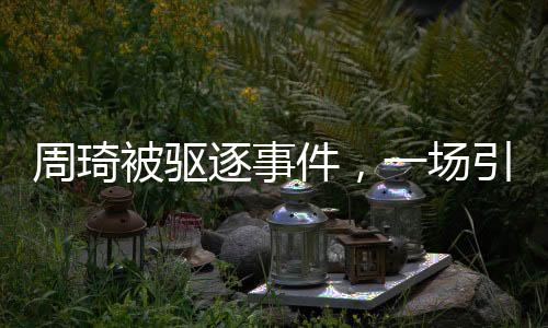 周琦被驱逐事件，一场引发广泛关注的体育争议