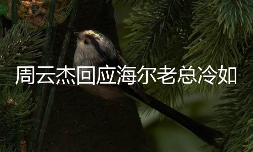 周云杰回应海尔老总冷如冰箱，一场关于企业领导风格的深度探讨