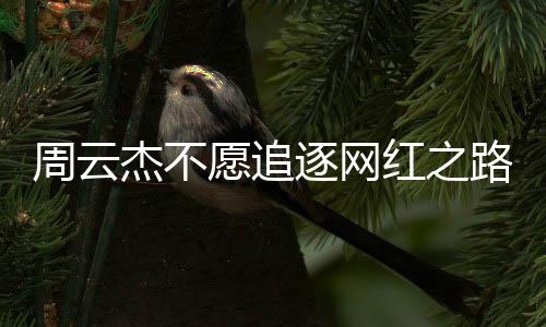 周云杰不愿追逐网红之路，寻求真实与深耕的领域价值