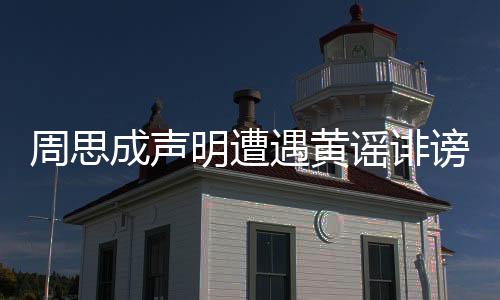周思成声明遭遇黄谣诽谤，正式起诉文都教育