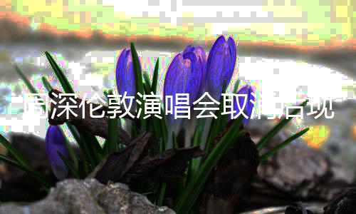 周深伦敦演唱会取消后现身致歉，歌迷理解与谅解的桥梁