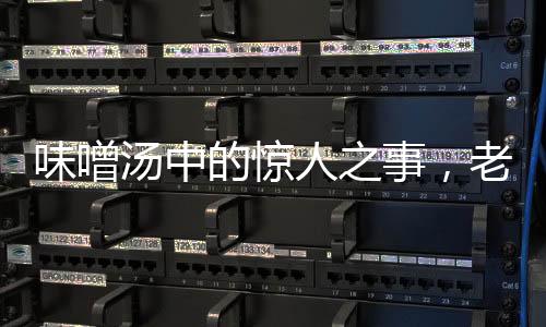 味噌汤中的惊人之事，老鼠尸体意外发现，食品安全再敲警钟
