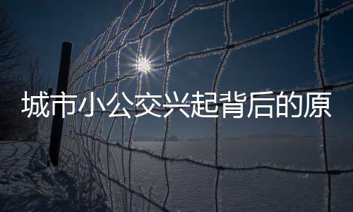 城市小公交兴起背后的原因解析