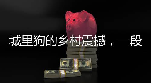 城里狗的乡村震撼，一段走进自然的全新体验之旅