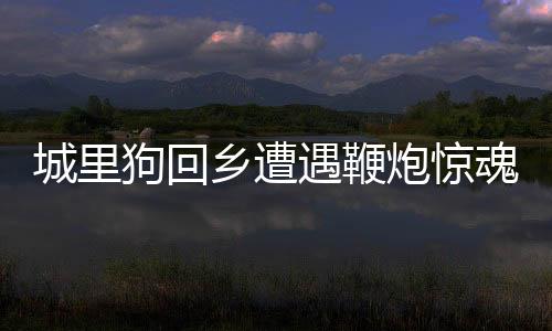 城里狗回乡遭遇鞭炮惊魂，驾车逃离成新话题
