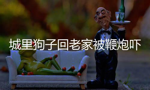 城里狗子回老家被鞭炮吓得要开车走