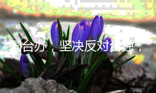 国台办，坚决反对台独，统一是时代大势所趋，台独是绝路