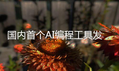 国内首个AI编程工具发布 可一键生成基础代码框架