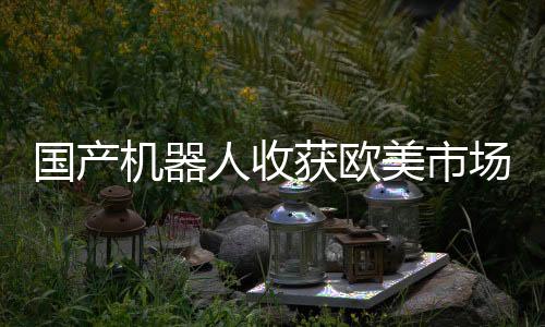 国产机器人收获欧美市场，崛起的科技力量