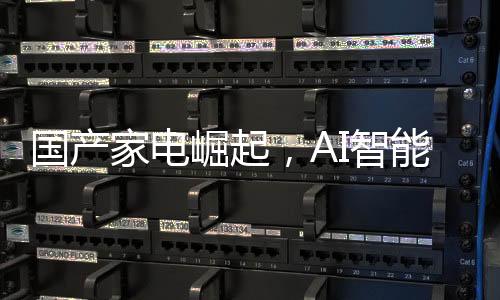 国产家电崛起，AI智能成为顶流，站在行业C位引领未来