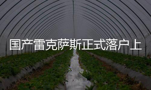 国产雷克萨斯正式落户上海，引领豪华汽车市场新篇章