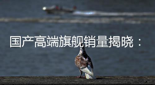 国产高端旗舰销量揭晓：小米大幅领先华为 稳居第一