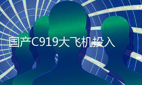 国产C919大飞机投入春运，展现航空强国新篇章的序曲