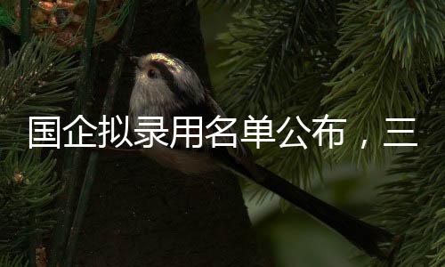 国企拟录用名单公布，三名本科生引发社会热议