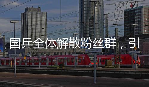 国乒全体解散粉丝群，引发广泛关注和热议