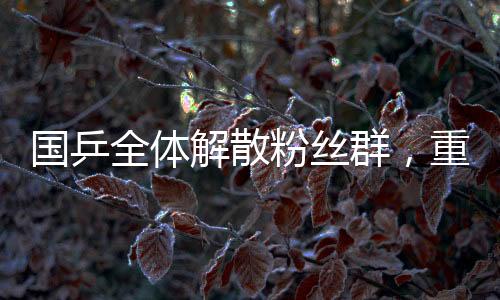 国乒全体解散粉丝群，重塑球迷文化与专业精神的崭新融合
