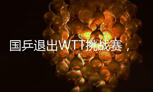 国乒退出WTT挑战赛，战略调整还是遗憾之失？