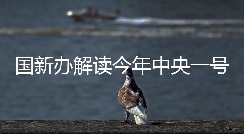国新办解读今年中央一号文件，聚焦乡村振兴与农业农村现代化战略