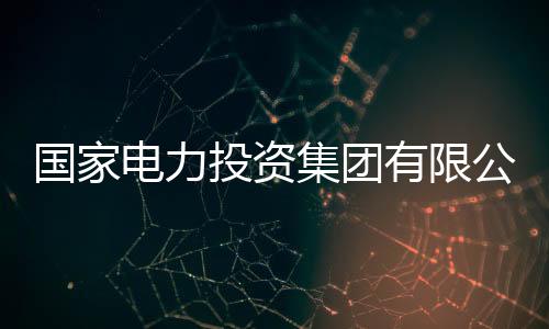 国家电力投资集团有限公司战略规划与发展部副总监曾武被查