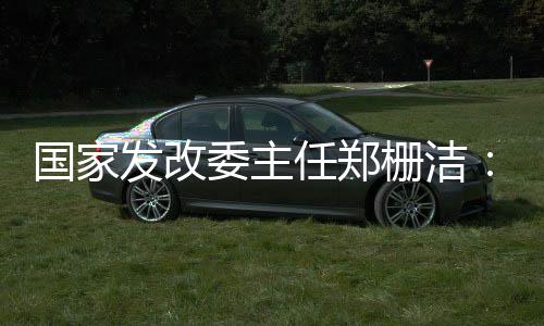 国家发改委主任郑栅洁：努力把各方面积极因素转化为发展实绩