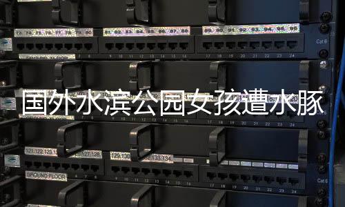 国外水滨公园女孩遭水豚意外压水事件引发关注