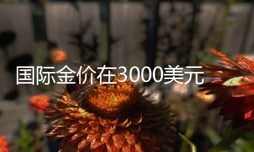 国际金价在3000美元关口上演多空对决