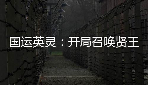 国运英灵：开局召唤贤王闪！