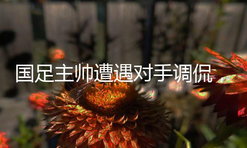 国足主帅遭遇对手调侃，争议瞬间引发韩媒热议