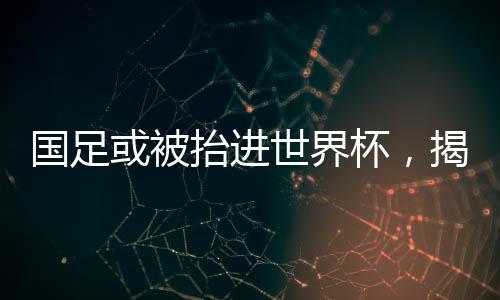 国足或被抬进世界杯，揭秘中国足球的新希望与挑战