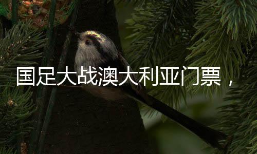 国足大战澳大利亚门票，6分钟售罄，球迷热情空前