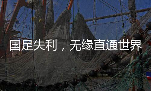 国足失利，无缘直通世界杯，中国足球的挑战与未来