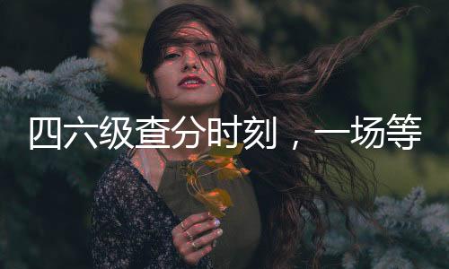 四六级查分时刻，一场等待与期待的胜利交响