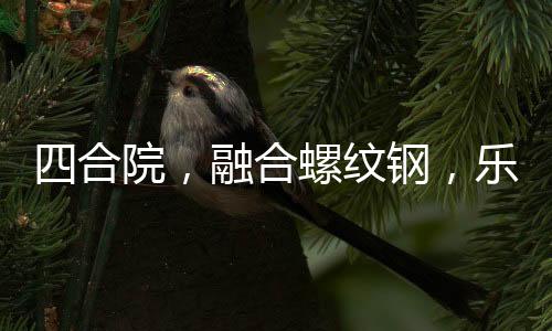 四合院，融合螺纹钢，乐疯娄小娥