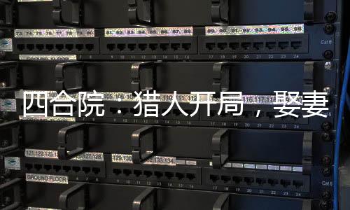 四合院：猎人开局，娶妻白玲